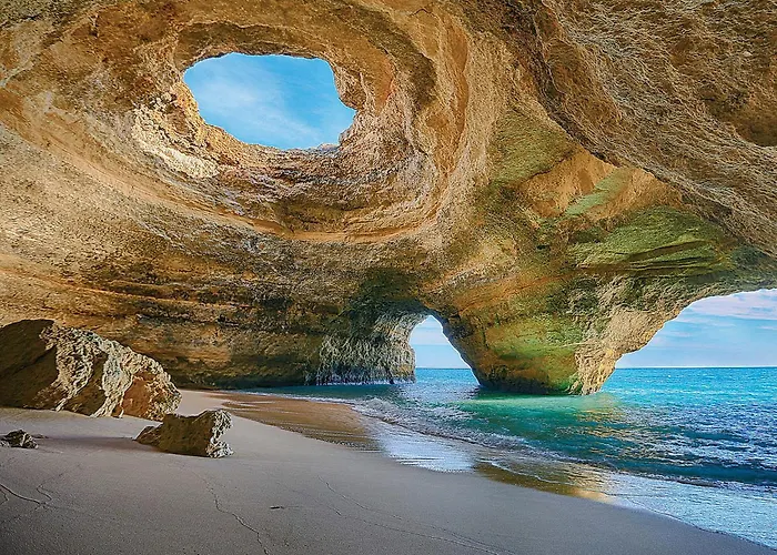 Golden Palm By Becherish