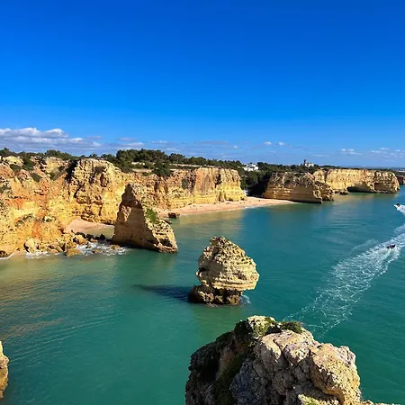 Daire Golden Palm By Becherish *