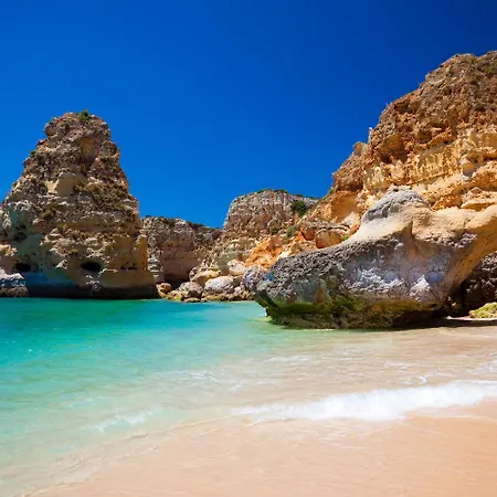 Golden Palm By Becherish